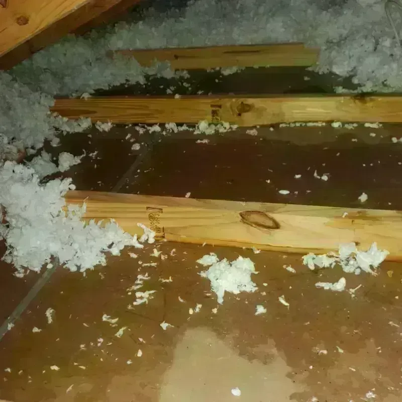 Attic Water Damage in Corcovado, PR